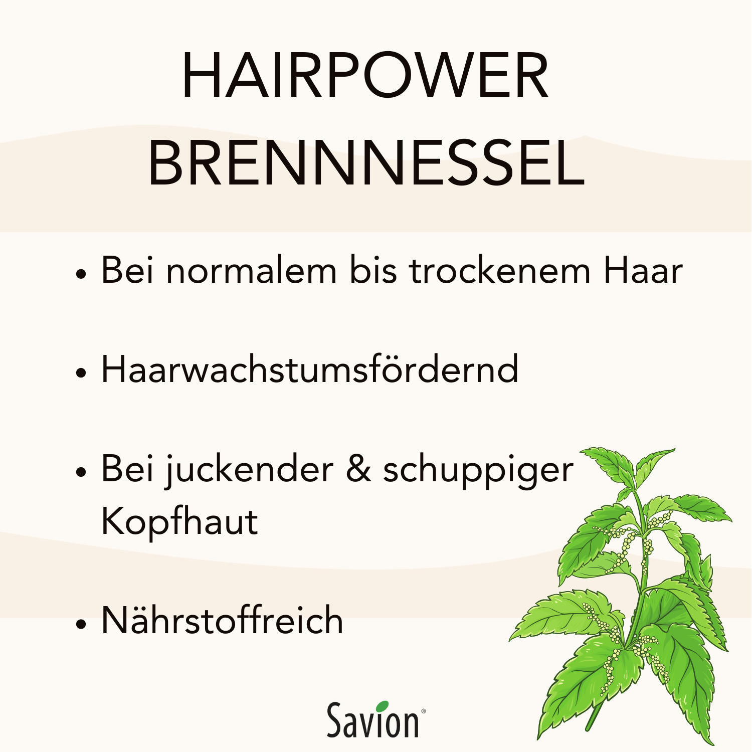 Haarseife Hairpower Brennnessel